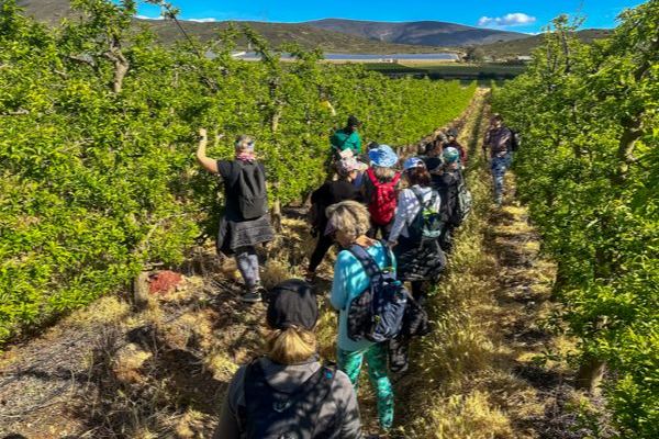 Fossil Hills Wine Walk