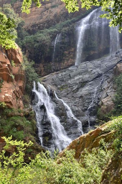 Gauteng