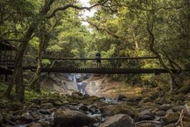 Magoebaskloof Hiking Trail