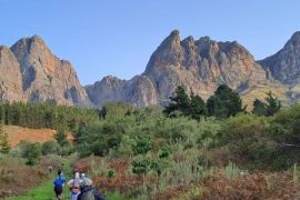 Tulbagh Disa Trail