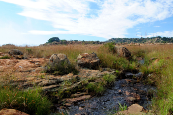 Suikerboschfontein Hiking Trail