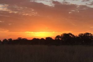 Mathikithi Wilderness Trail