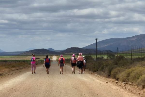 Montagu Camino