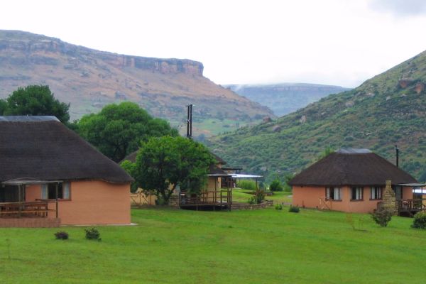 Camelroc Guest Farm