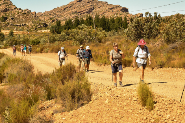 Wupperthal Cedar Trail