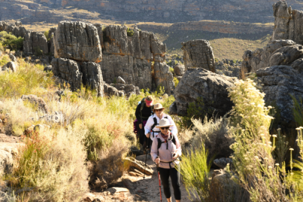 Wupperthal Cedar Trail