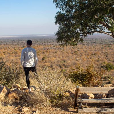 In the Savanna