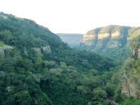 Krantzkloof Nature Reserve