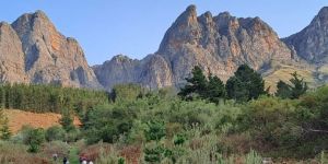 Tulbagh Disa Trail