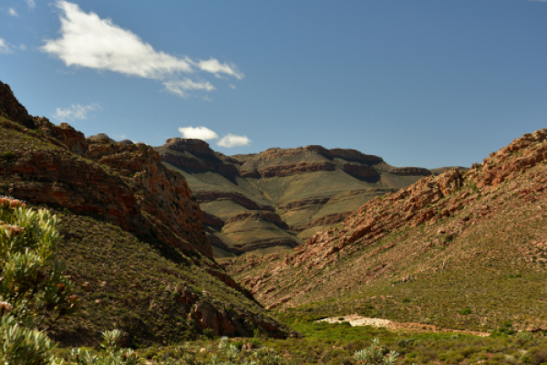 Wupperthal66 Hike