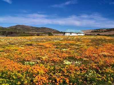 Namaqua Flower Hunt Hiking Trail