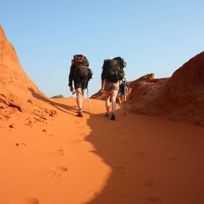 In the Desert