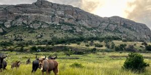 Mount Everest Game Reserve