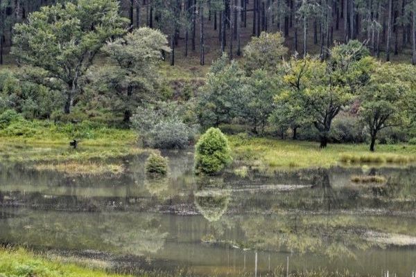Magoebaskloof Hiking Trail