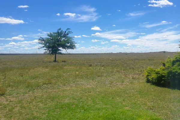 Raapfontein Self-catering and Camp