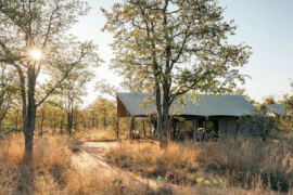 Simbavati Trails Camp Walking Safari