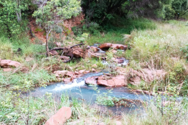 Rooikrans Hiking Trail