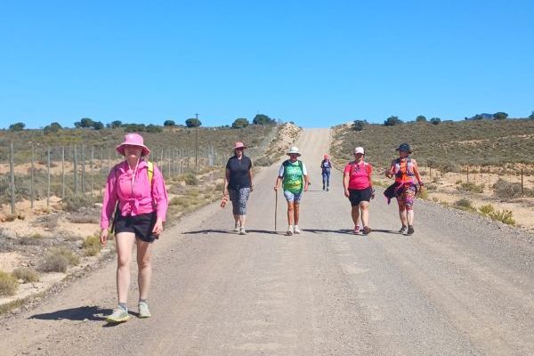 Montagu Camino