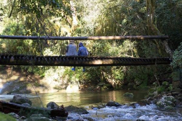 Magoebaskloof Hiking Trail