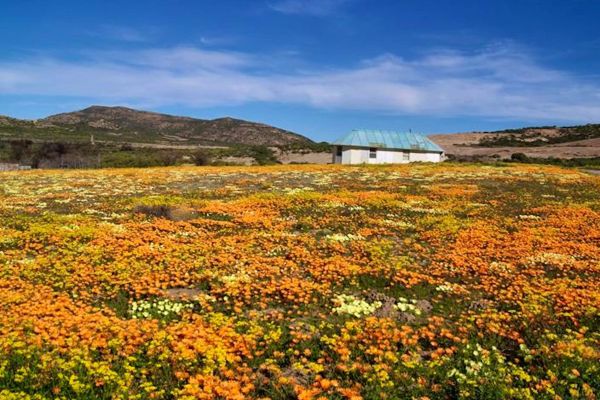 Namaqua Flower Hunt Hiking Trail