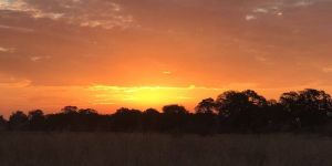 Mathikithi Wilderness Trail