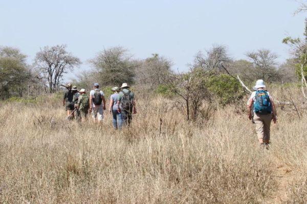 Mathikithi Wilderness Trail