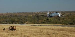 Manyeleti Game Reserve