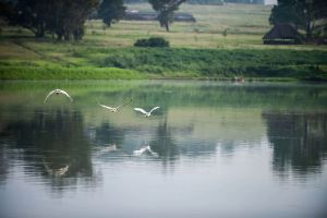 Modderfontein Nature Reserve