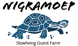 Nigramoep slowliving guest farm
