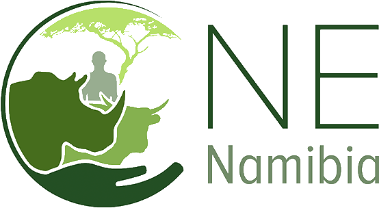 ONE Namibia