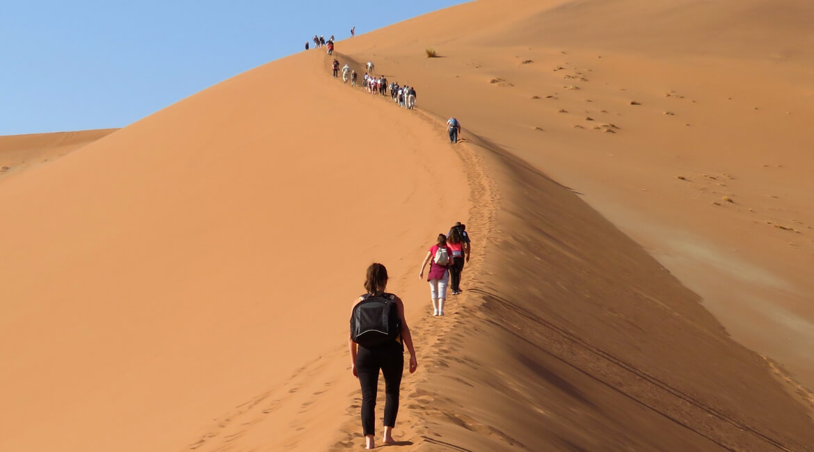Big Daddy Dune