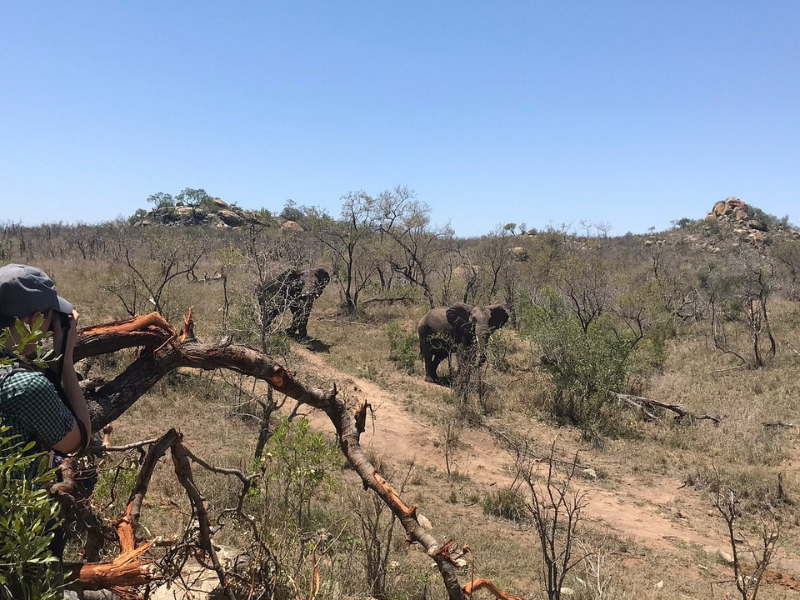 Bushman Wilderness Trail