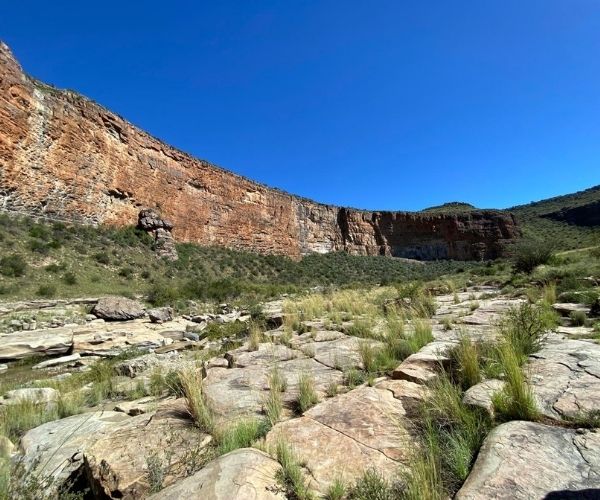 Canyon Mini Camino
