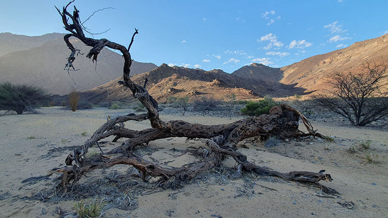 Damaraland Camino