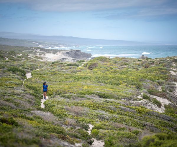 De Hoop Trail — Vlei to Whales