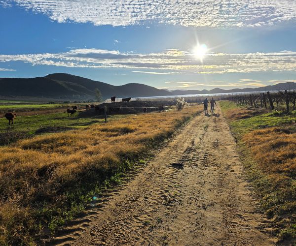 Fossil Hills Wine Walk