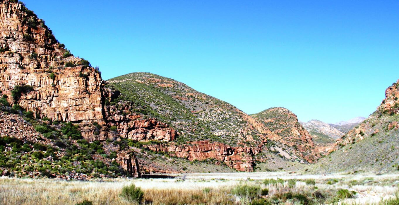 The Leopard Trail