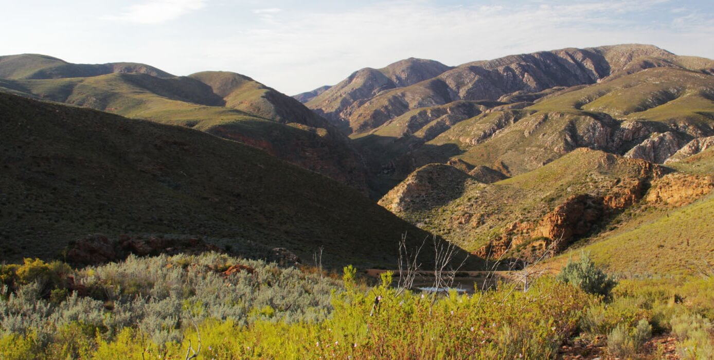 The Leopard Trail