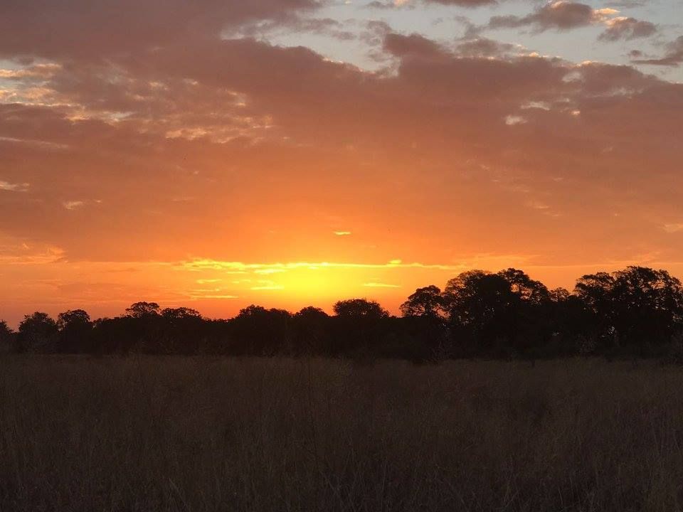 Mathikithi Wilderness Trail