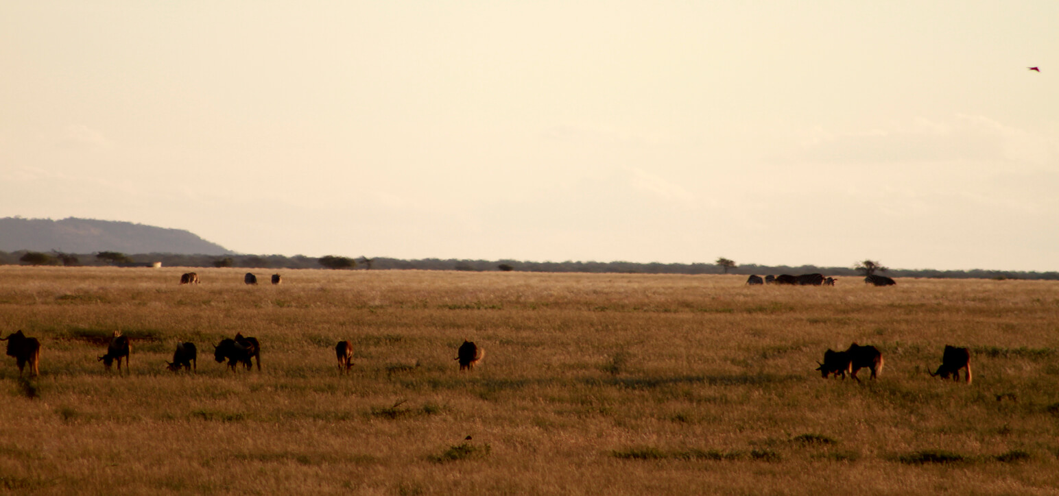 Mokala National Park