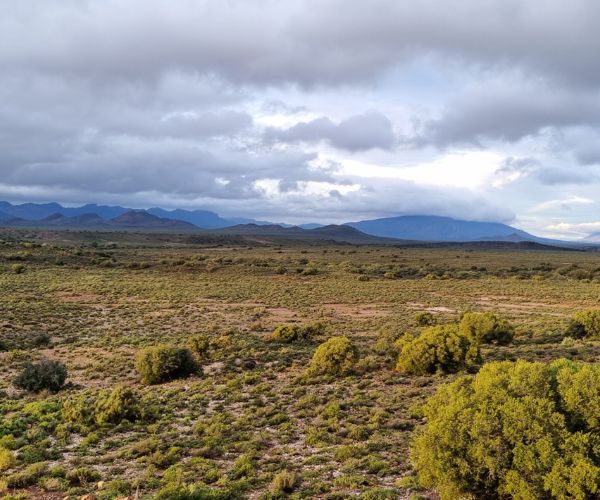 Montagu Camino