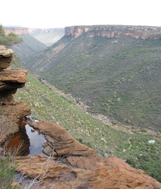 Oorlogskloof Rock Pigeon Trial