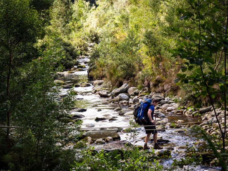 Outeniqua Hiking Trail