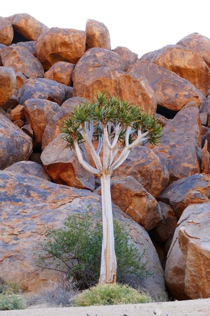 Richtersveld Hiking Tour