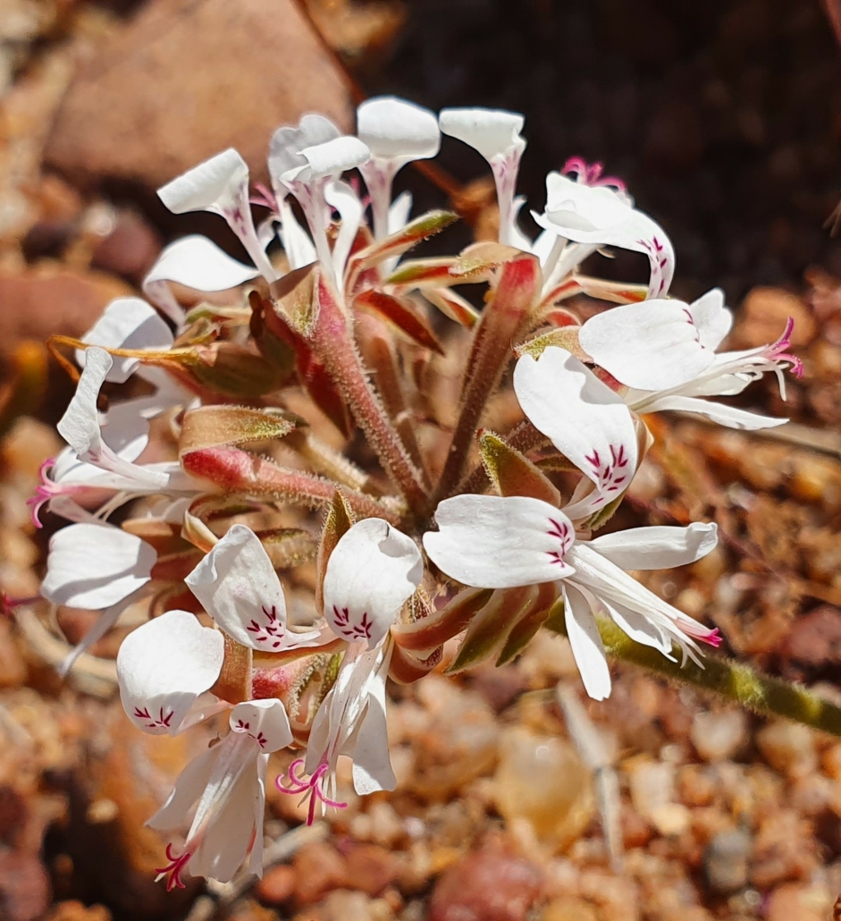 Schaap River Canyon Hike
