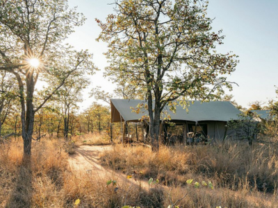 Simbavati Trails Camp Walking Safari