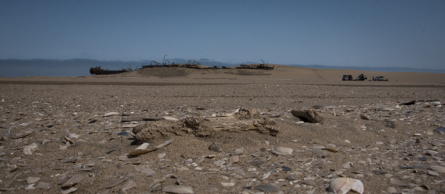 The Namib100 Hike