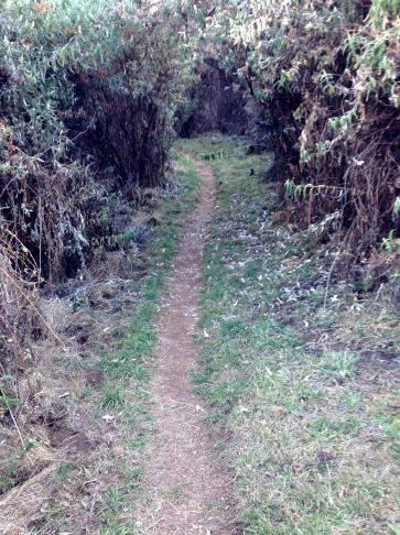 The Lower Trail to Black Pool, Maliba Lodge