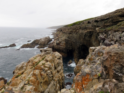 The Whale Trail