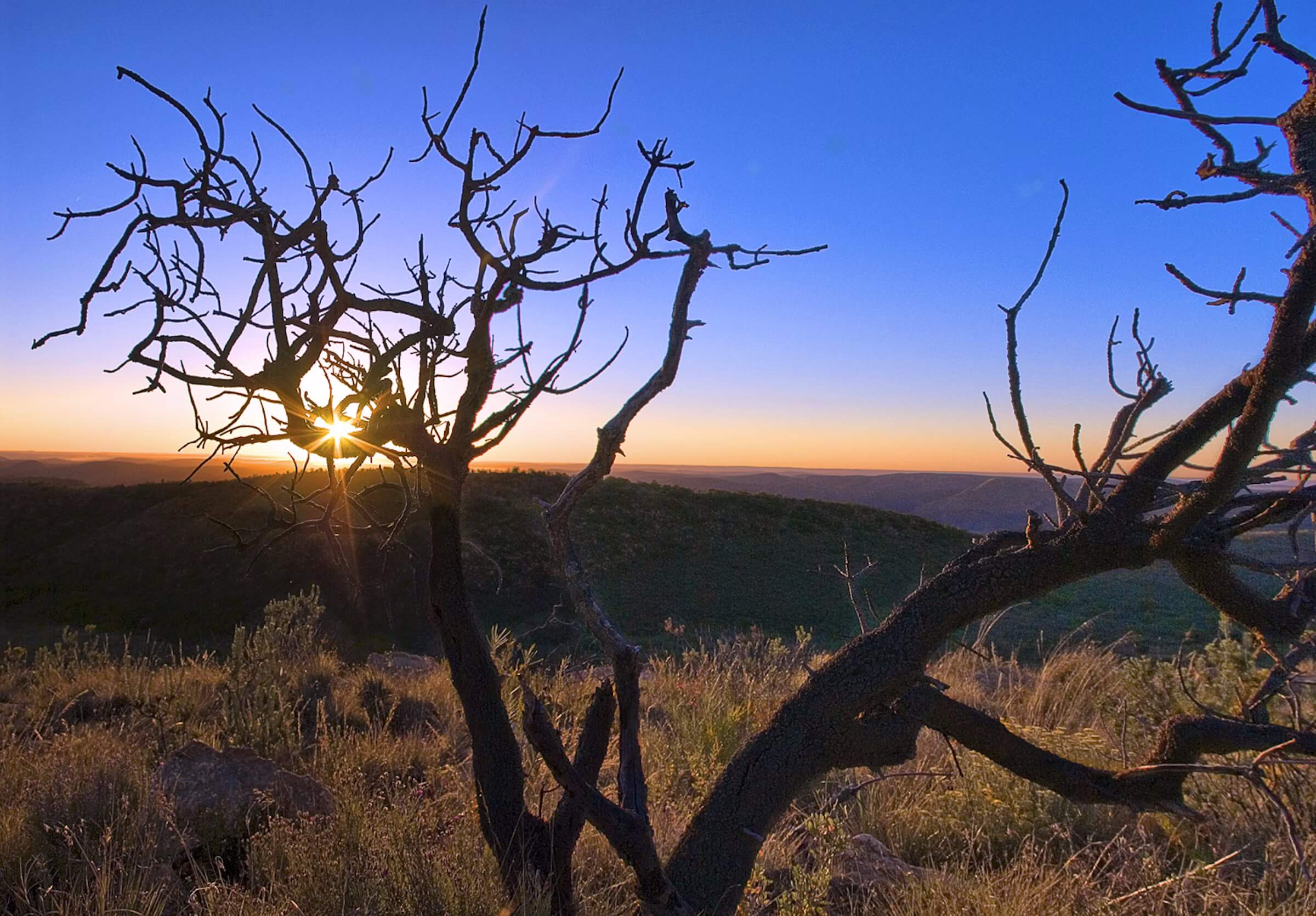 Thwane Bush Camp